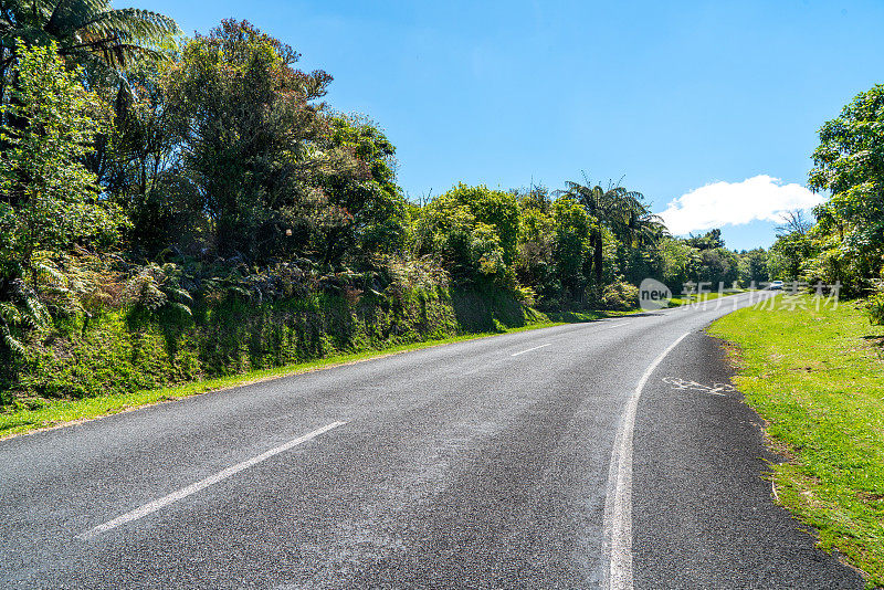 通往Waimangu火山谷的道路，Waimangu路在Wai-O-Tapu, waakarewarewa，新西兰